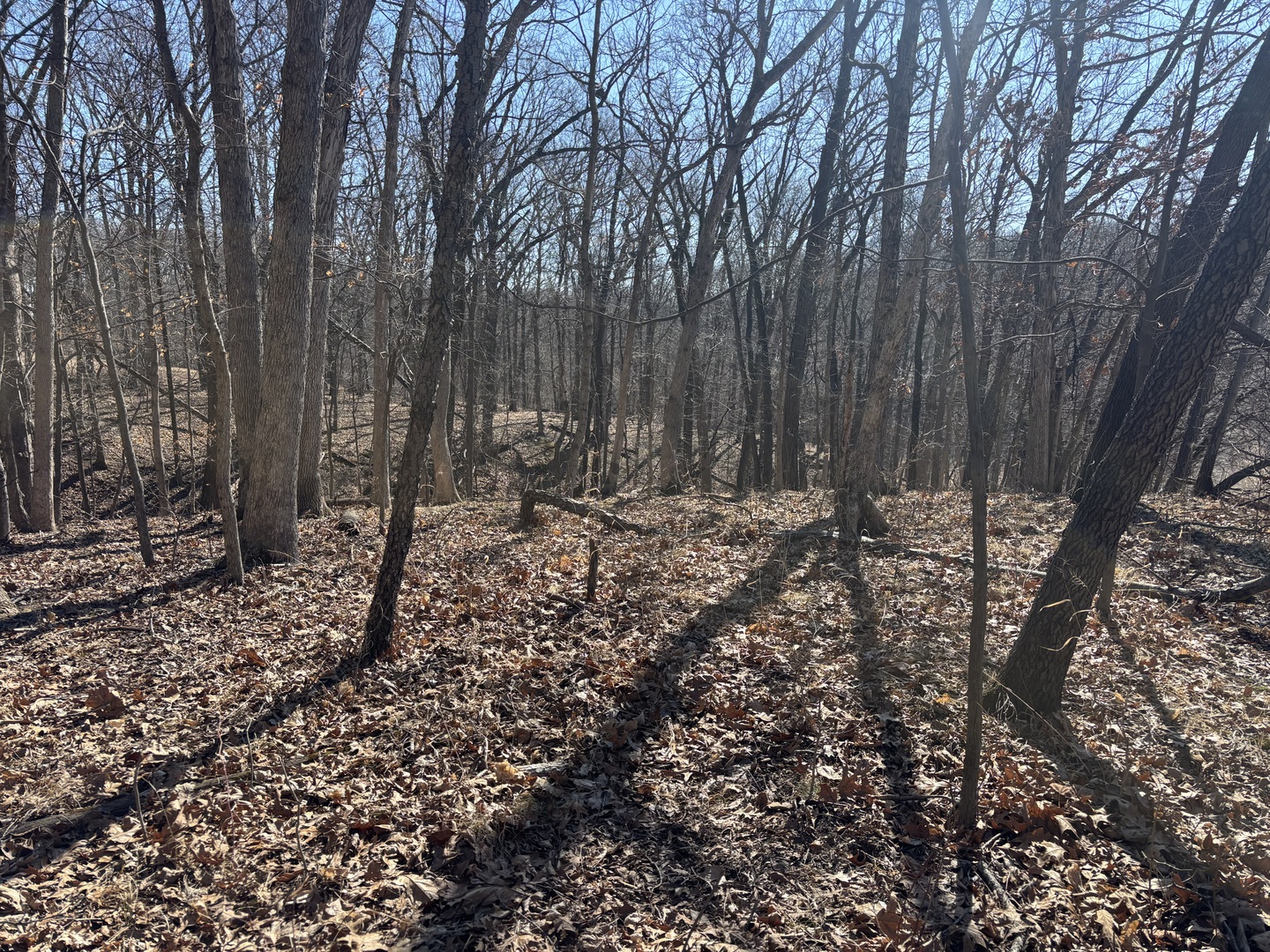 1742 Tanglewood Drive