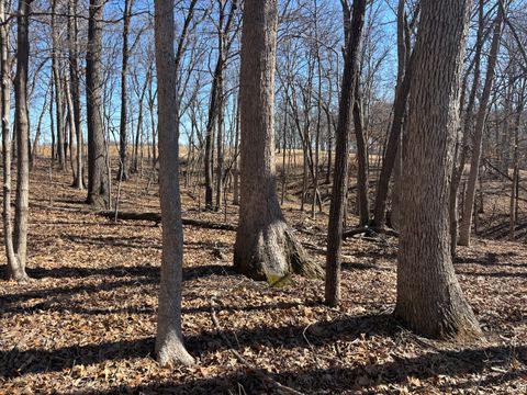 1742 Tanglewood Drive Varna IL 61375