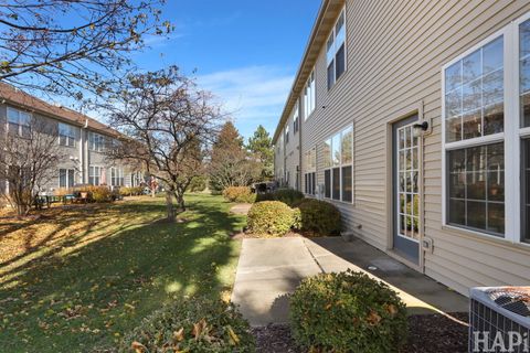 Tiny photo for 750 Dillon Court, Grayslake, IL 60030 (MLS # 12510897)