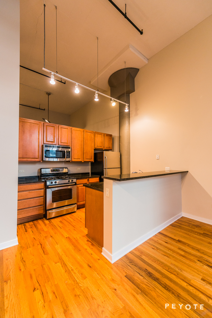 1224 W Van Buren Street 226