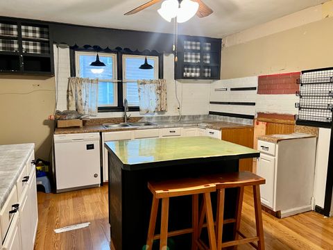 Tiny photo for 375 W Franklin Street, Paxton, IL 60957 (MLS # 12501378)