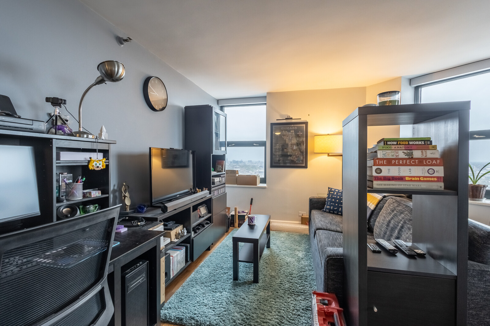 3660 N Lake Shore Drive 3912