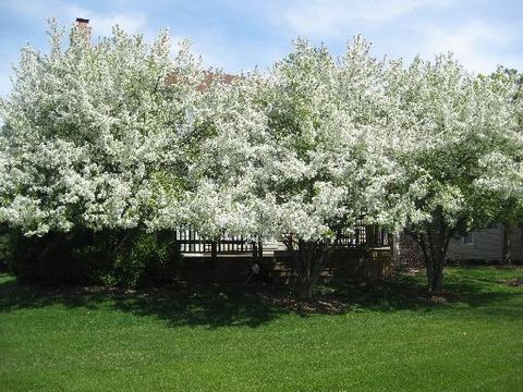 Tiny photo for Bloomingdale, IL 60108 (MLS # 12599357)
