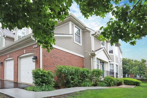 1437 Sturgeon Bay Court Schaumburg IL 60173