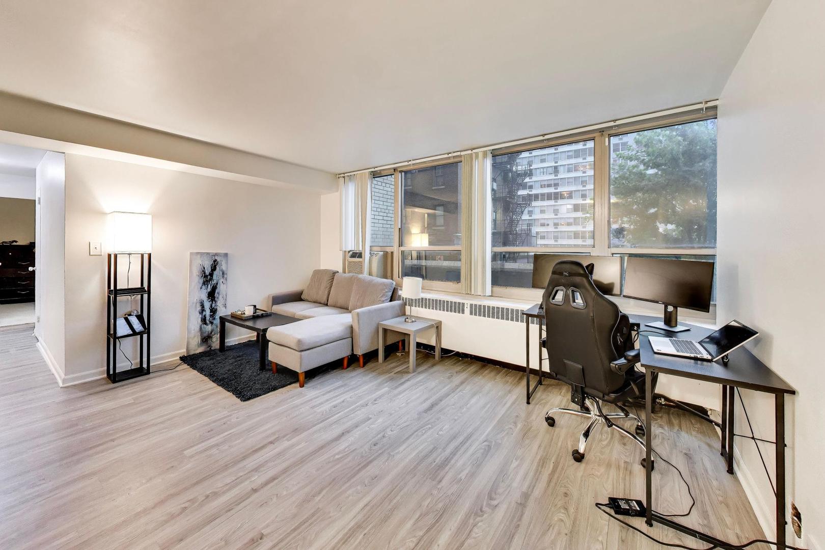 3950 N Lake Shore Drive 227E