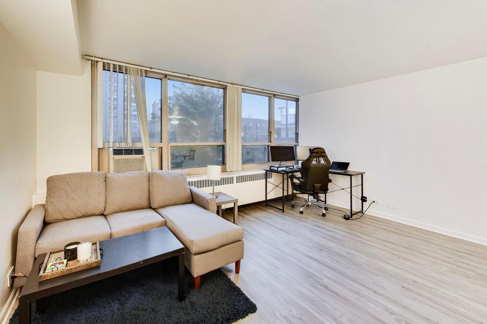 3950 N Lake Shore Drive 227E