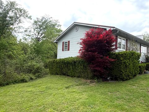 Tiny photo for 2884 Tick Ridge Road, Grand Chain, IL 62941 (MLS # 12619511)