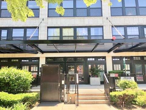 1071 W 15th Street 313 Chicago IL 60608