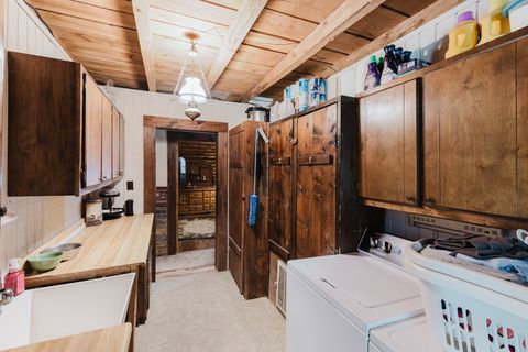 Tiny photo for 690 Ganntown Lane, Grantsburg, IL 62943 (MLS # 12576225)