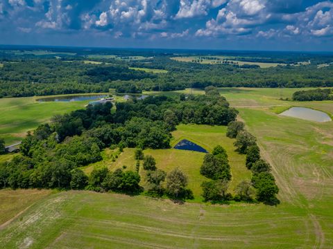 Tiny photo for 690 Ganntown Lane, Grantsburg, IL 62943 (MLS # 12576225)