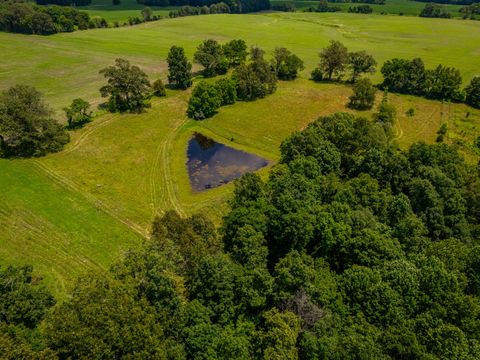 Tiny photo for 690 Ganntown Lane, Grantsburg, IL 62943 (MLS # 12576225)