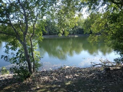 Tiny photo for 6035 Northern Drive, Morris, IL 60450 (MLS # 12455441)