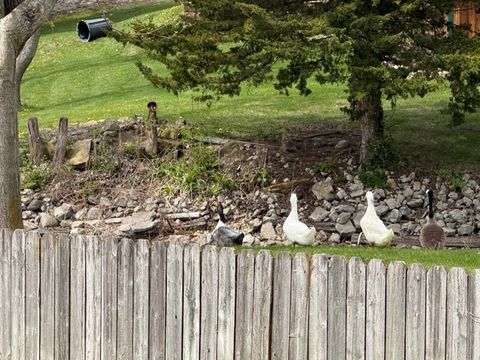 Tiny photo for 6035 Northern Drive, Morris, IL 60450 (MLS # 12455441)