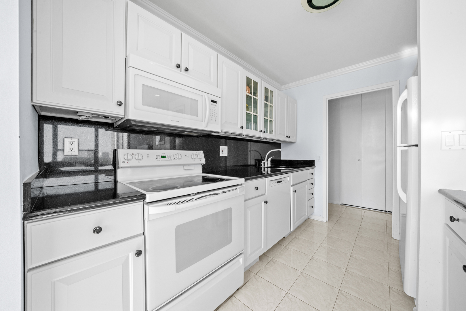 1560 N Sandburg Terrace 1412J