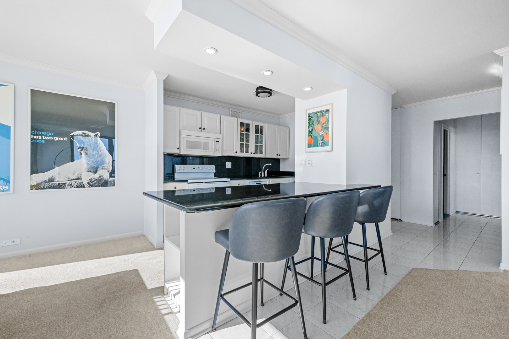 1560 N Sandburg Terrace 1412J