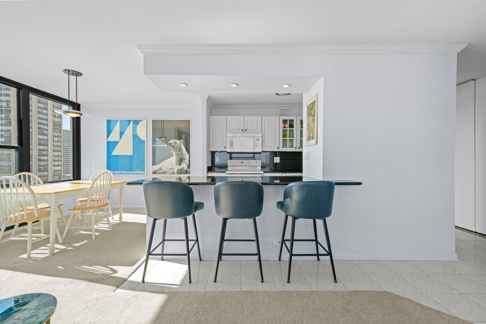 1560 N Sandburg Terrace 1412J