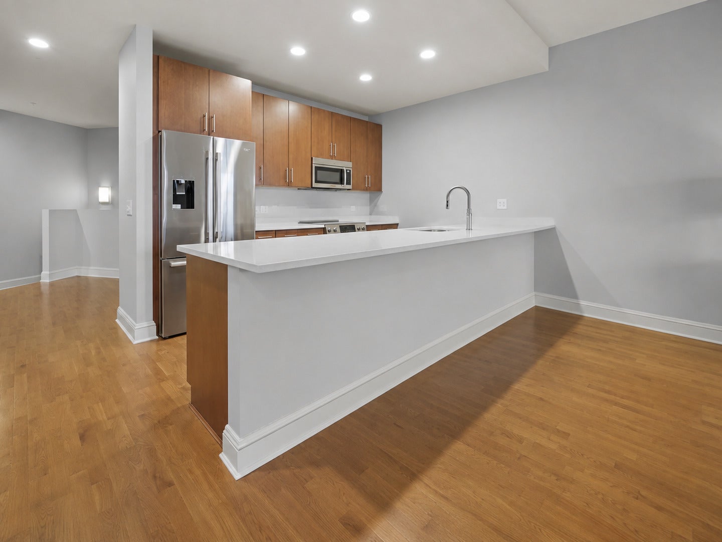 850 N Lake Shore Drive 203
