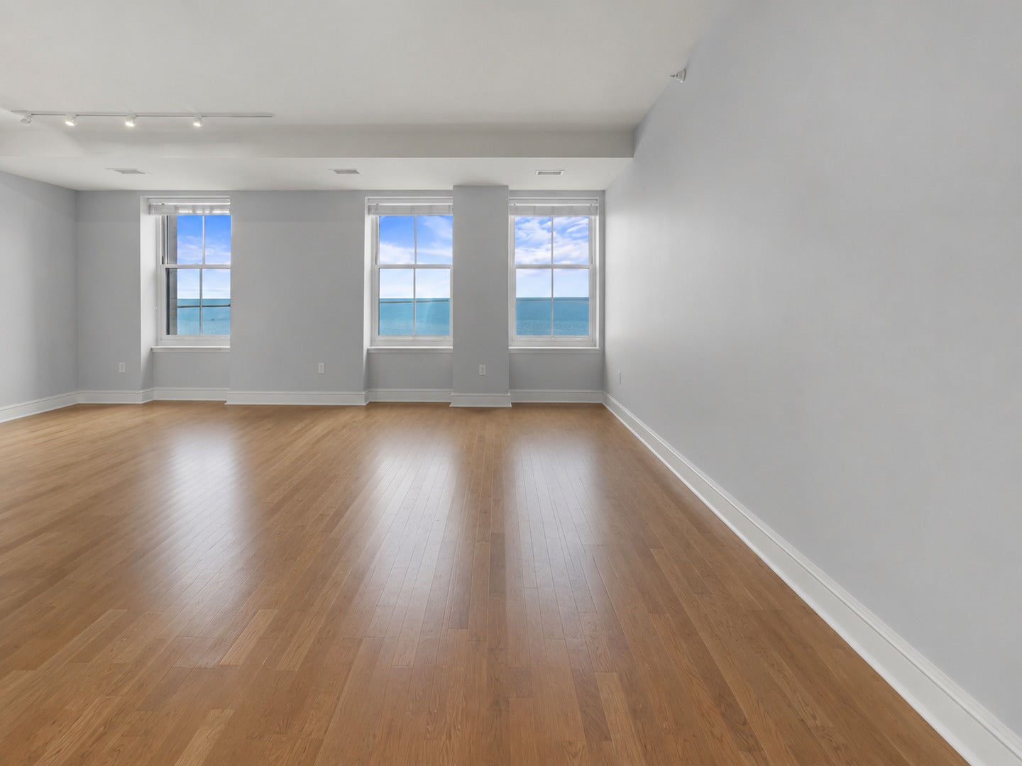850 N Lake Shore Drive 203