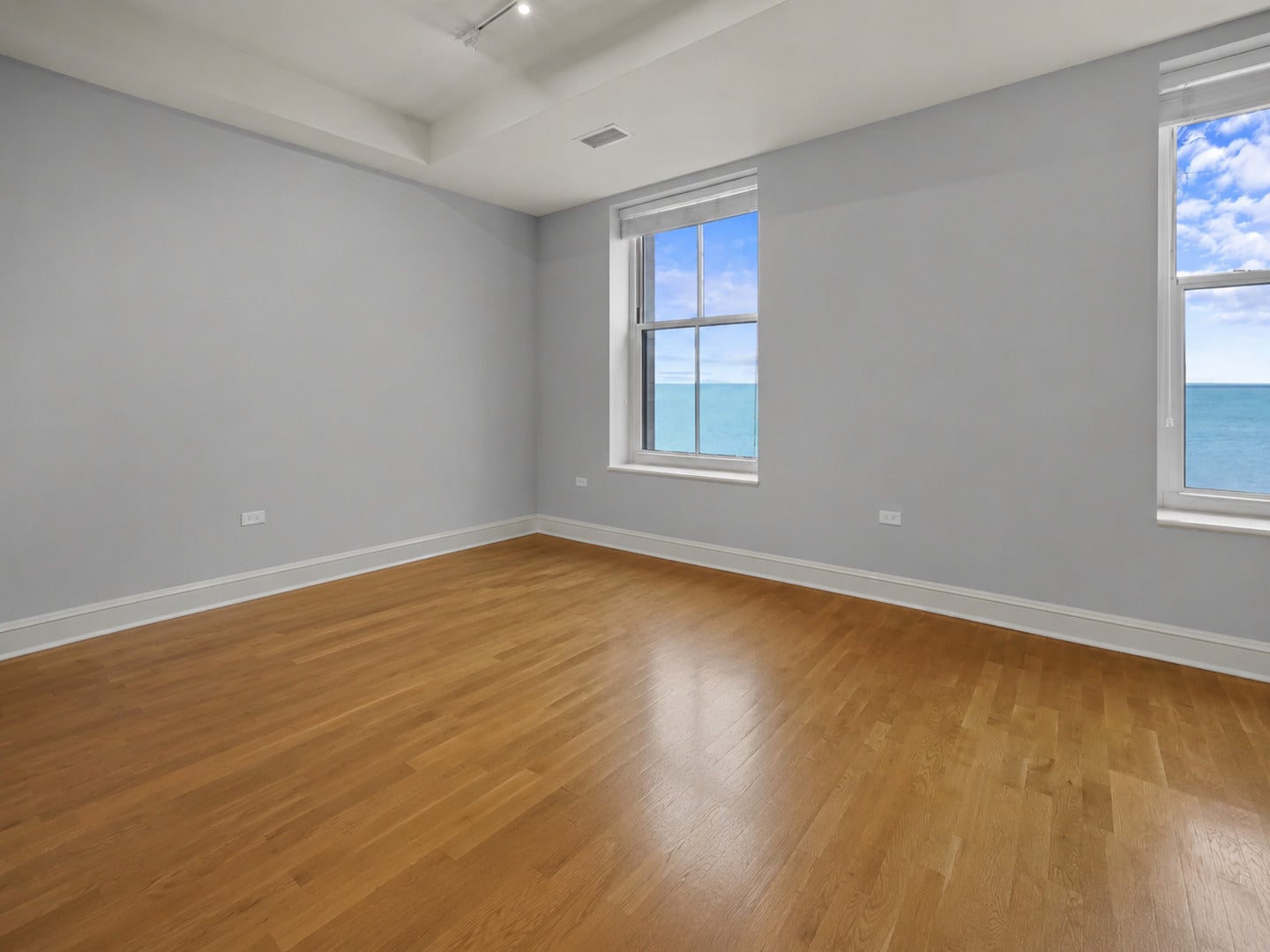 850 N Lake Shore Drive 203