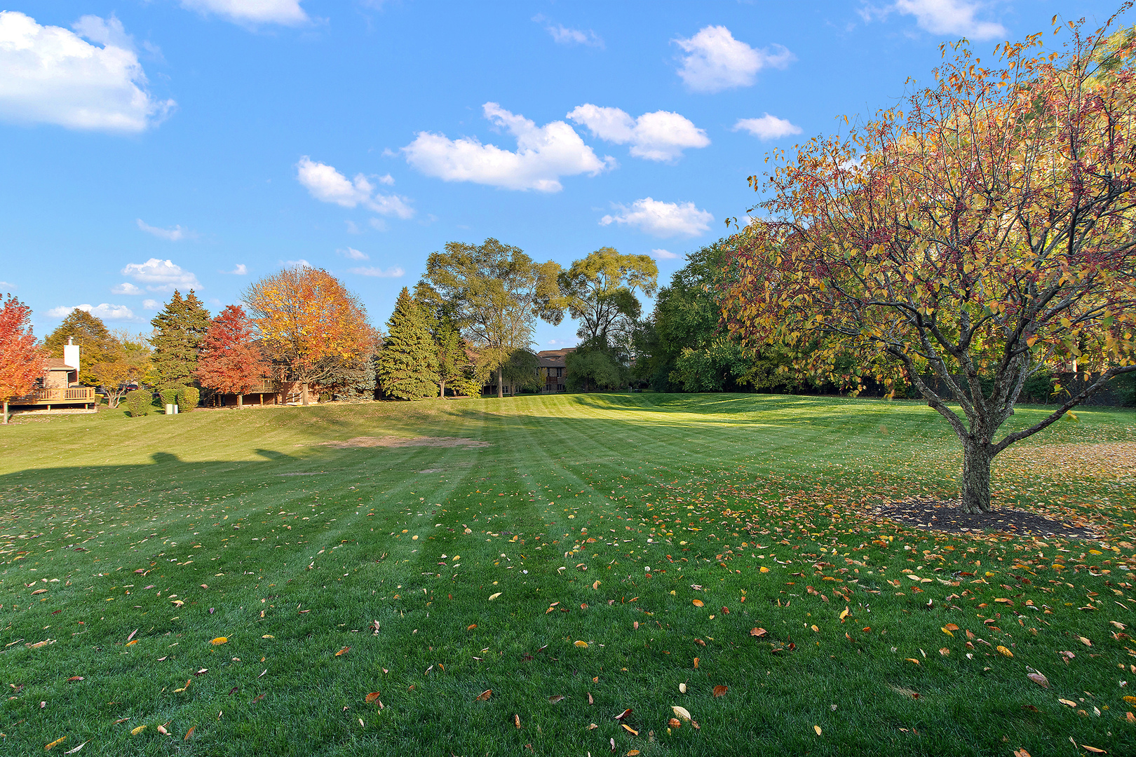 12249 S Arbor Trail G2