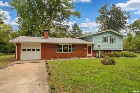 Photo of 1301 W COURT Street, Carbondale, IL 62901 (MLS # EB460069)