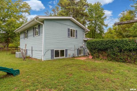 Tiny photo for 1301 W COURT Street, Carbondale, IL 62901 (MLS # EB460069)