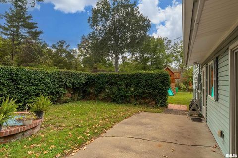 Tiny photo for 1301 W COURT Street, Carbondale, IL 62901 (MLS # EB460069)