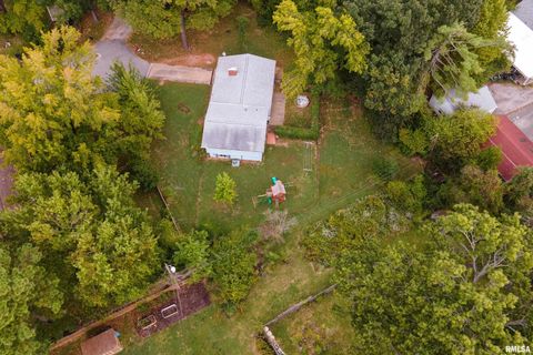 Tiny photo for 1301 W COURT Street, Carbondale, IL 62901 (MLS # EB460069)