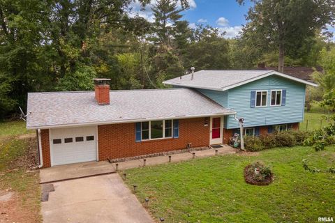 Tiny photo for 1301 W COURT Street, Carbondale, IL 62901 (MLS # EB460069)