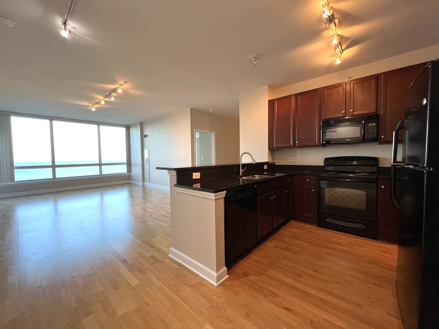 1901 S Calumet Avenue 2602