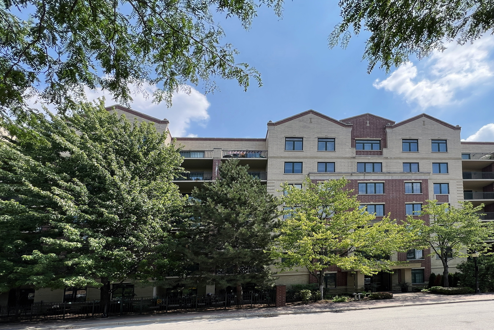11 S Wille Street 311