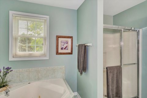 Tiny photo for Beecher, IL 60401 (MLS # 12580988)