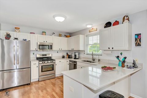 Tiny photo for Beecher, IL 60401 (MLS # 12580988)