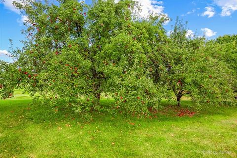 Tiny photo for 3N369 Lafox Road, St. Charles, IL 60175 (MLS # 12369366)