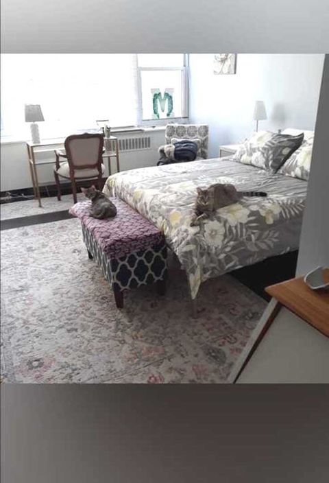 Tiny photo for 4250 N Marine Drive #828, Chicago, IL 60613 (MLS # 12593241)