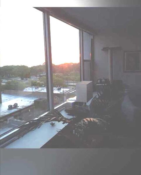 Tiny photo for 4250 N Marine Drive #828, Chicago, IL 60613 (MLS # 12593241)