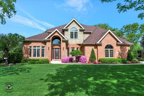 21048 Tall Grass Drive Mokena IL 60448