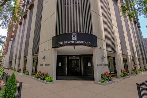 1111 N Dearborn Street 1506 Chicago IL 60610