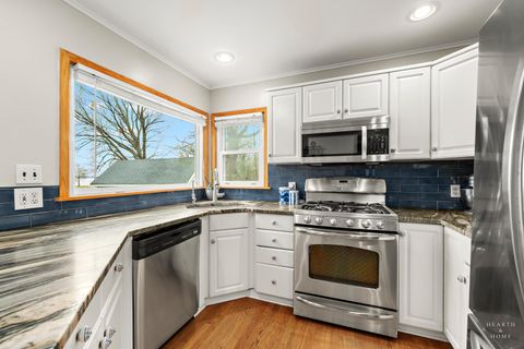 Tiny photo for 28808 W Manitoba Trail, McHenry, IL 60051 (MLS # 12361442)