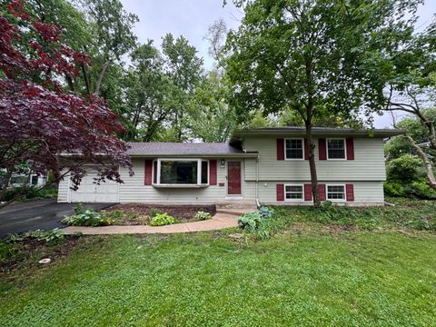 49 Golden Larch Court Naperville IL 60540