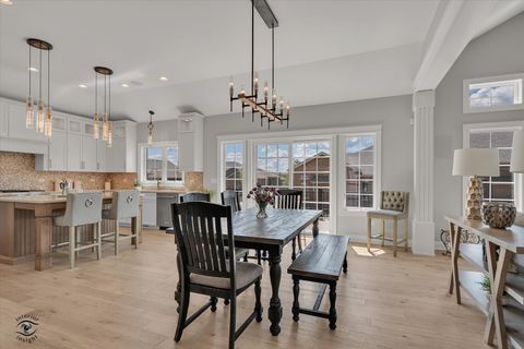 Tiny photo for 8855 Milwaukee Breakwater Drive, Frankfort, IL 60423 (MLS # 12424601)