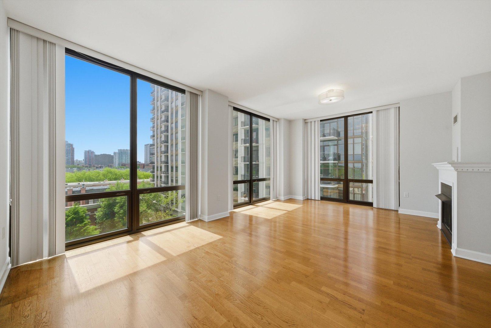 233 E 13TH Street 709