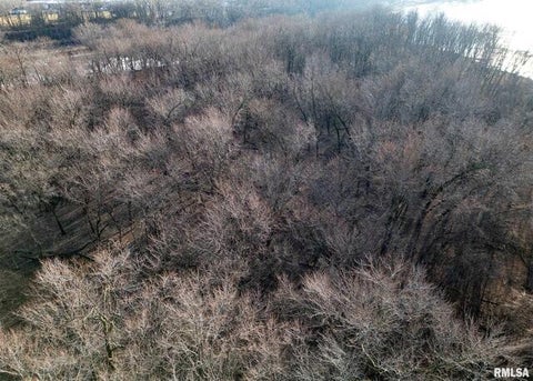 Tiny photo for 225 34TH Avenue, Rock Island, IL 61201 (MLS # QC4259038)