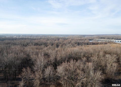 Tiny photo for 225 34TH Avenue, Rock Island, IL 61201 (MLS # QC4259038)