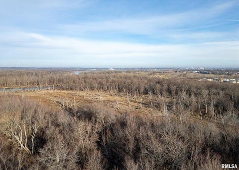 Tiny photo for 225 34TH Avenue, Rock Island, IL 61201 (MLS # QC4259038)