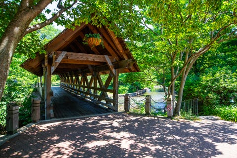 Tiny photo for 1636 Castle Lawn Court, Naperville, IL 60565 (MLS # 12723083)