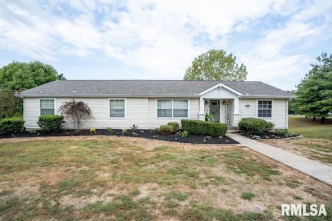 Photo of 12451 Dahmer Way, Carterville, IL 62918 (MLS # QC4268995)