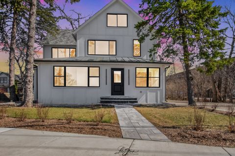 217 W Main Street Lake Zurich IL 60047