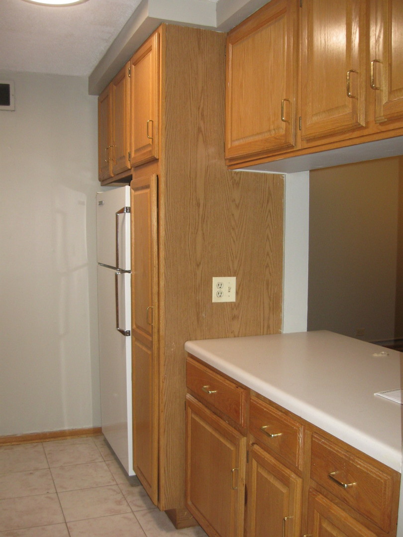 1339 N Dearborn Street 2-D