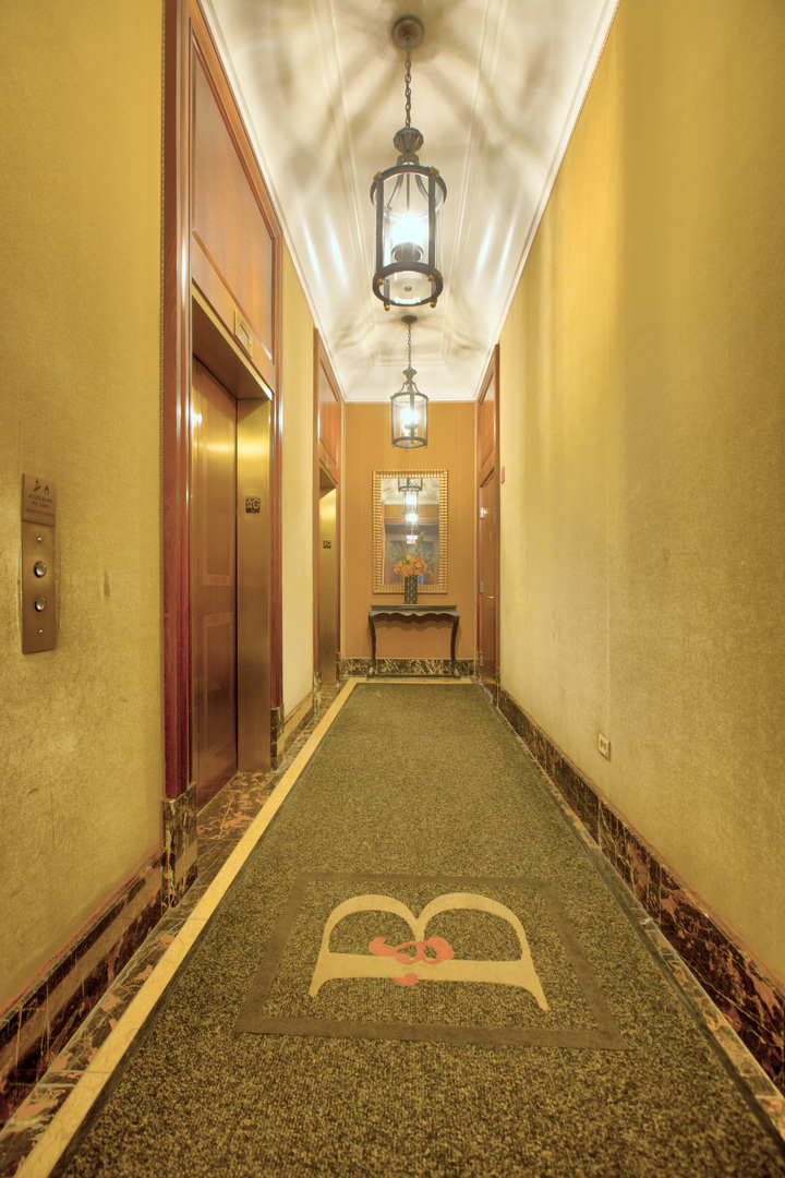57 E Delaware Place 3504